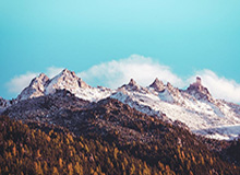 开云官网：用体验驱动信任，用细节打动人心